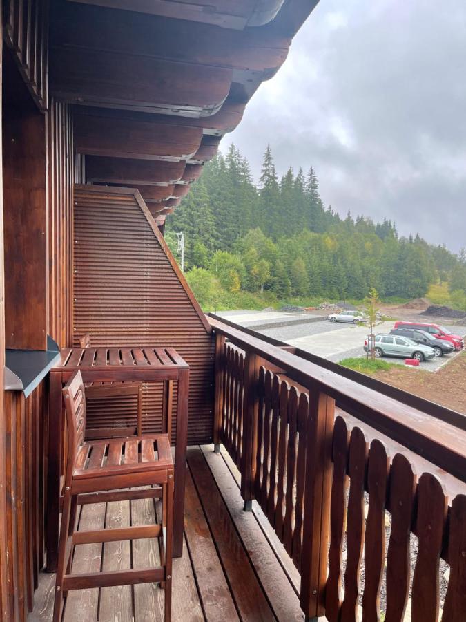Strunzova Pila Kvilda Apartman 308 エクステリア 写真