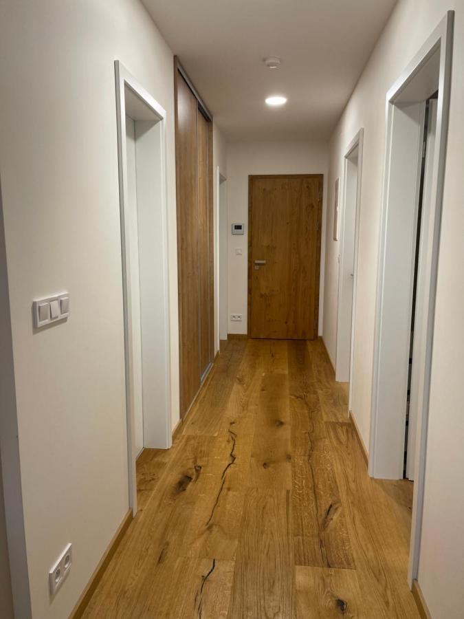 Strunzova Pila Kvilda Apartman 308 エクステリア 写真